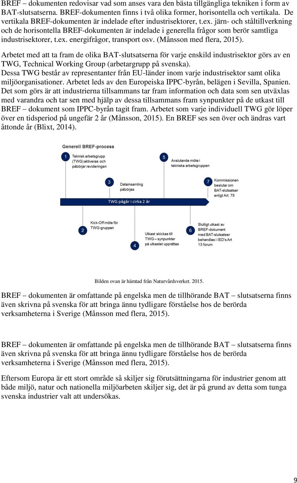 järn- och ståltillverkning och de horisontella BREF-dokumenten är indelade i generella frågor som berör samtliga industrisektorer, t.ex. energifrågor, transport osv. (Månsson med flera, 2015).