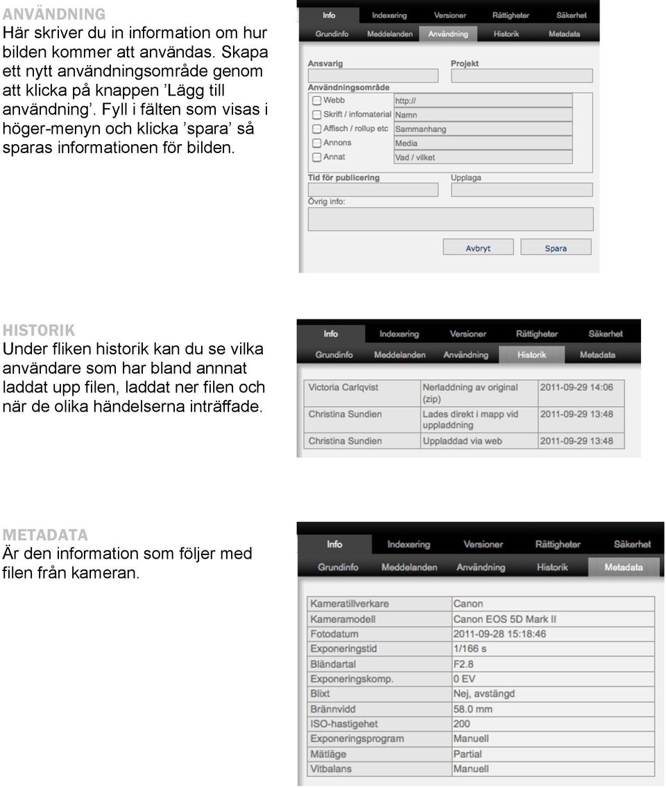 Fyll i fälten som visas i höger-menyn och klicka spara så sparas informationen för bilden.