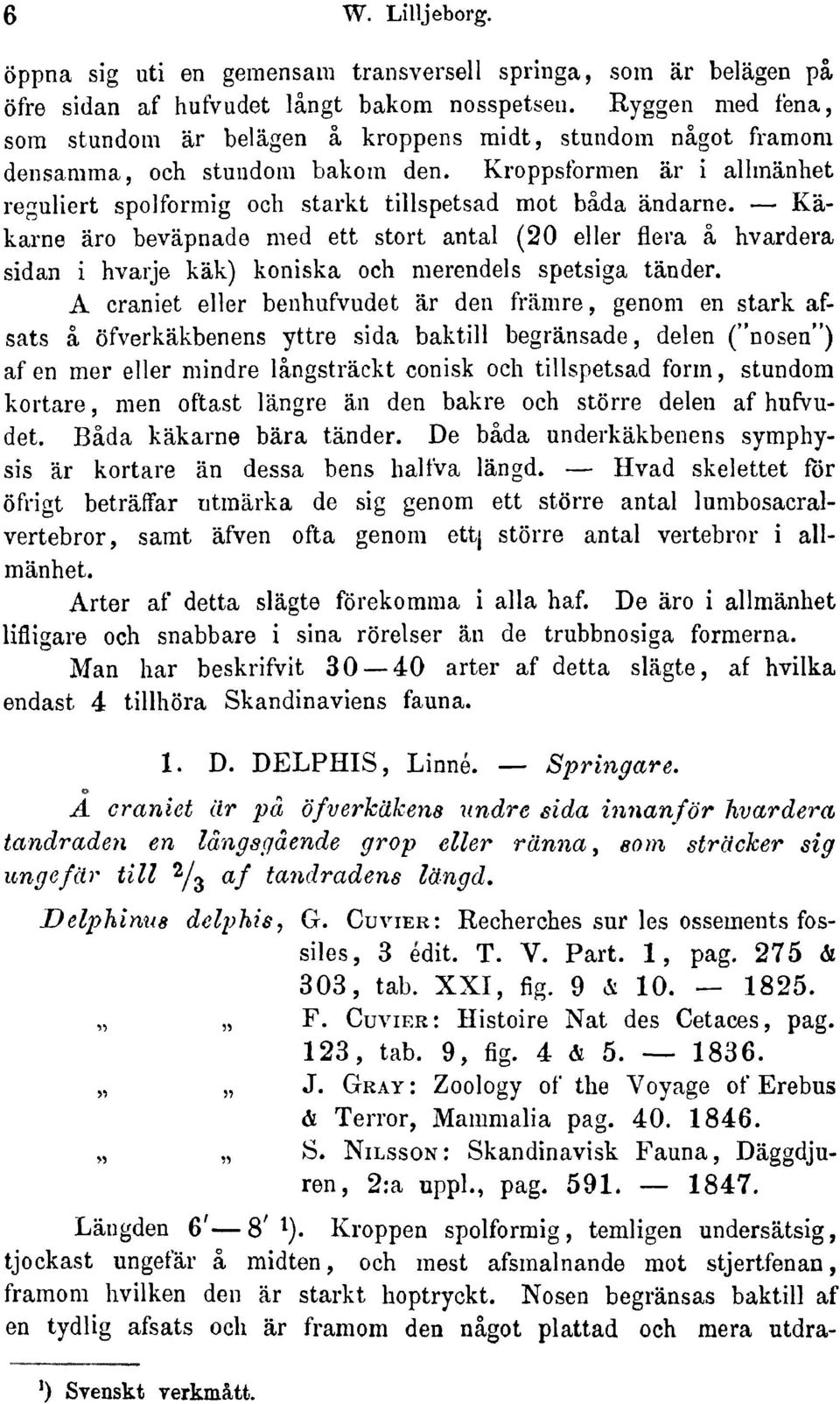 Käkarne äro beväpnade med ett stört antal (20 eller flera ä hvardera sidan i hvarje käk) koniska och merendels spetsiga tänder.