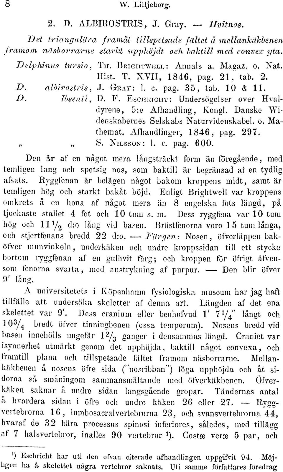 Eschkicht: ündersögelser over Hvaldyrene 5:e Afliandling Kongl. Danske Widenskabernes Selskabs Naturvidenskabel. o. Mathemat Aflmndlinger 1846 pag. 297. S. Nilsson: 1. c. pag. 600.