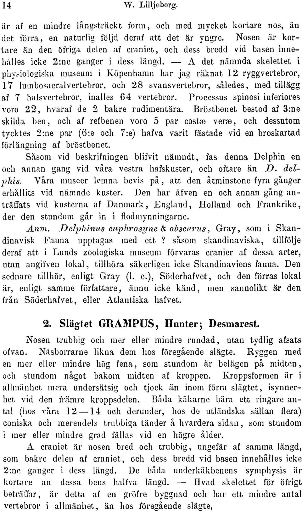 siologiskamuseuni i Köpenhamn har jag räknat 12 ryggvertebror 17 lurabosacralvertebror och 28 svansvertebror säledes med tillägg af 7 halsvertebror inalles 64 vertebror.