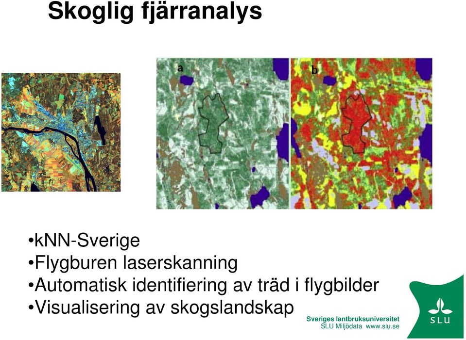 Automatisk identifiering av träd