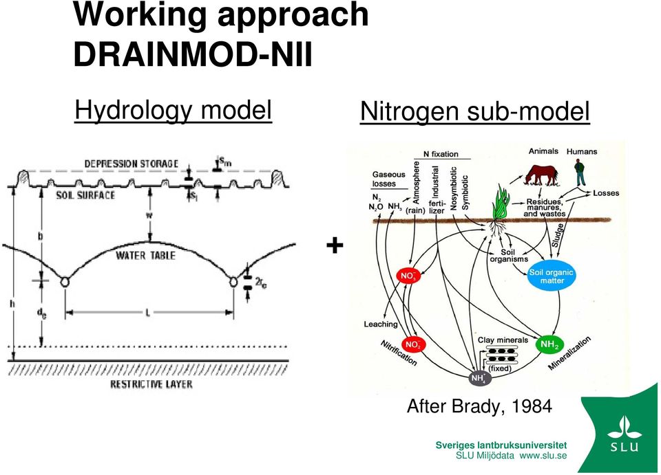 Hydrology model