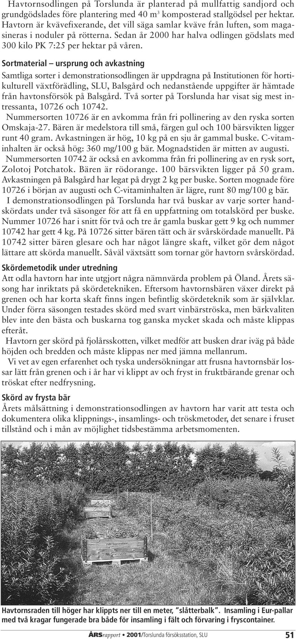 Sortmaterial ursprung och avkastning Samtliga sorter i demonstrationsodlingen är uppdragna på Institutionen för hortikulturell växtförädling, SLU, Balsgård och nedanstående uppgifter är hämtade från