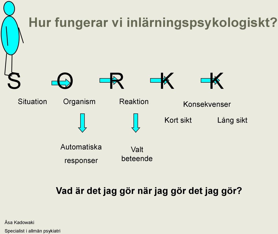 sikt Lång sikt Automatiska responser Valt beteende Vad är