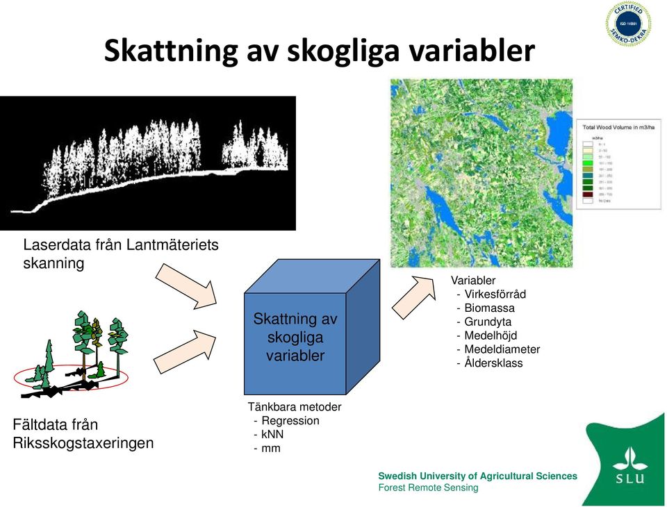 - Biomassa - Grundyta - Medelhöjd - Medeldiameter - Åldersklass