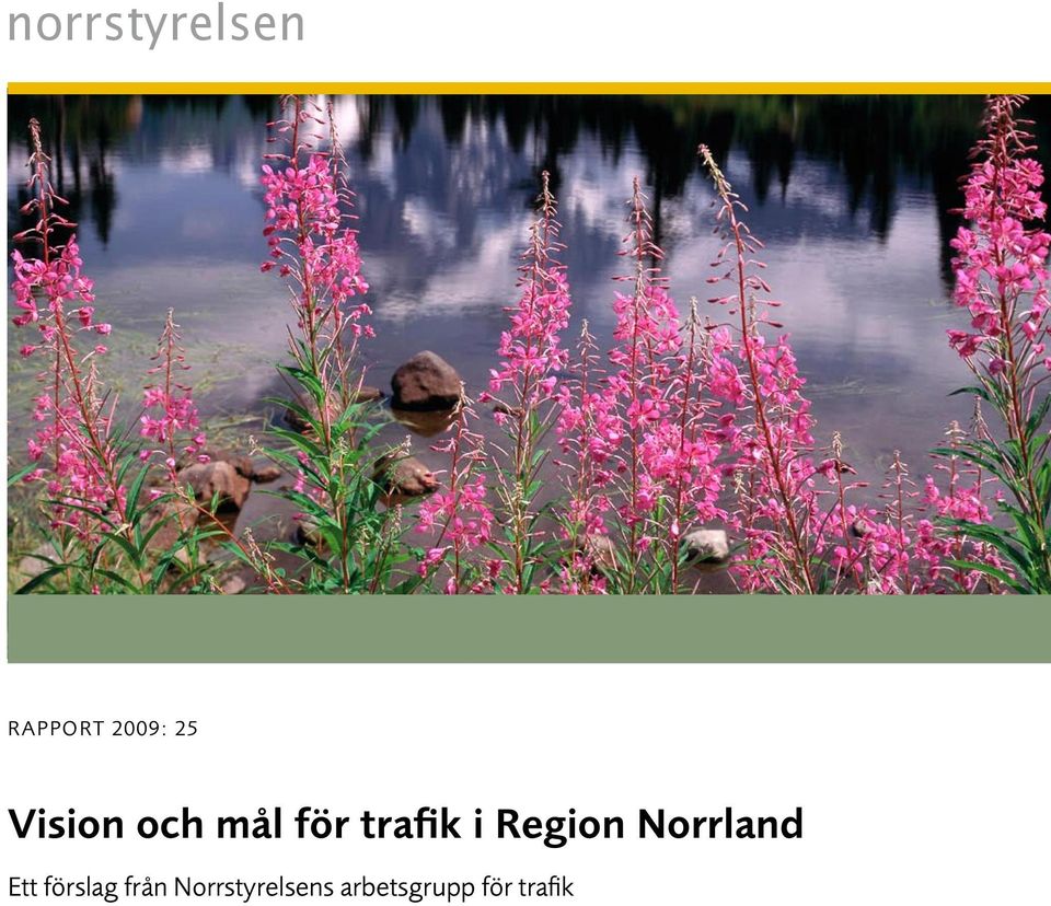 Region Norrland Ett förslag från