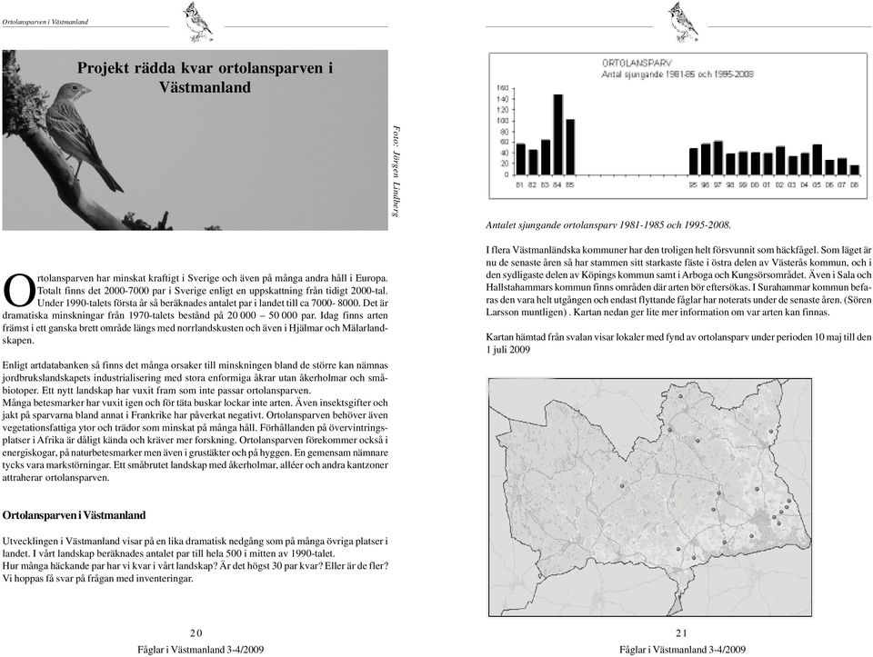 Det är dramatiska minskningar från 1970-talets bestånd på 20 000 50 000 par. Idag finns arten främst i ett ganska brett område längs med norrlandskusten och även i Hjälmar och Mälarlandskapen.