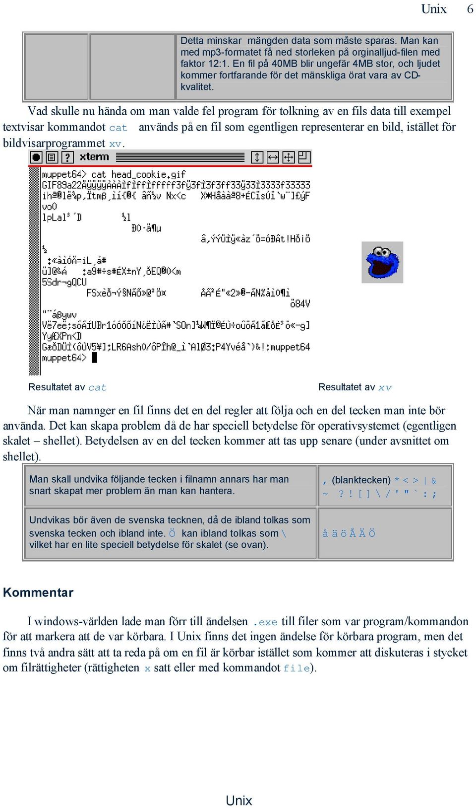 Vad skulle nu hända om man valde fel program för tolkning av en fils data till exempel textvisar kommandot cat används på en fil som egentligen representerar en bild, istället för bildvisarprogrammet