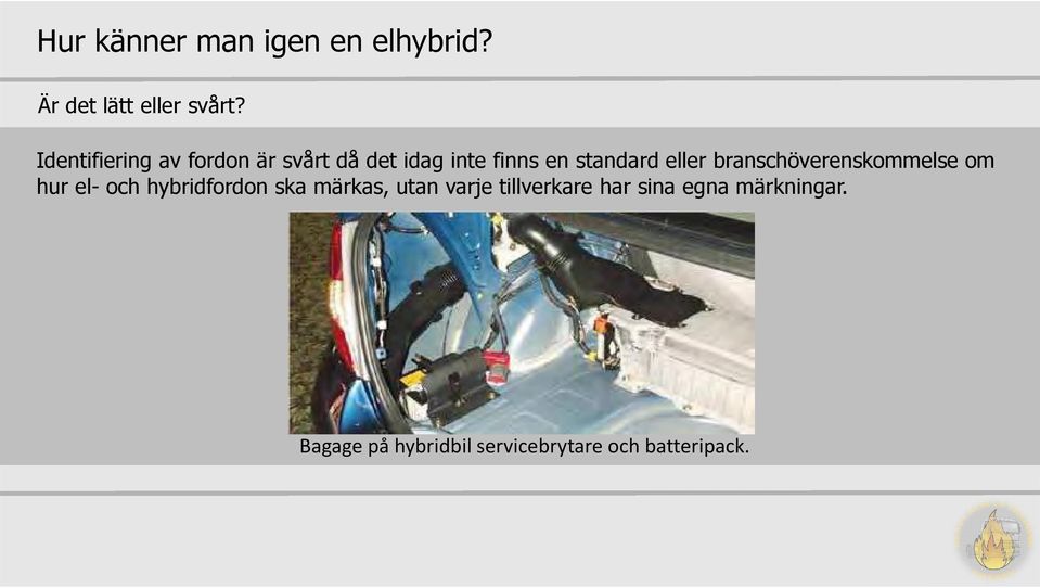 branschöverenskommelse om hur el- och hybridfordon ska märkas, utan varje