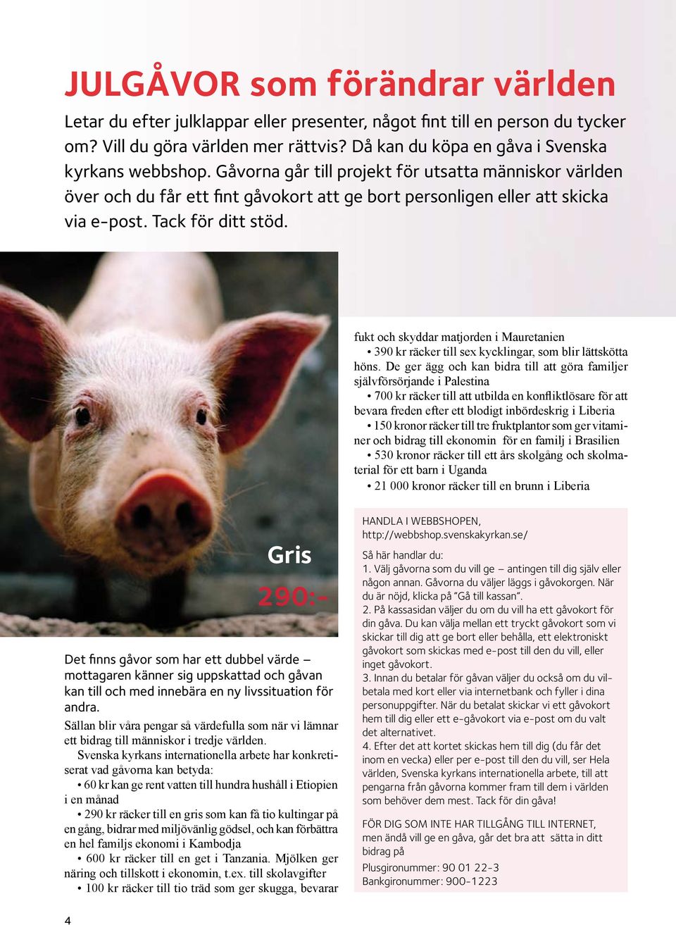 fukt och skyddar matjorden i Mauretanien 390 kr räcker till sex kycklingar, som blir lättskötta höns.