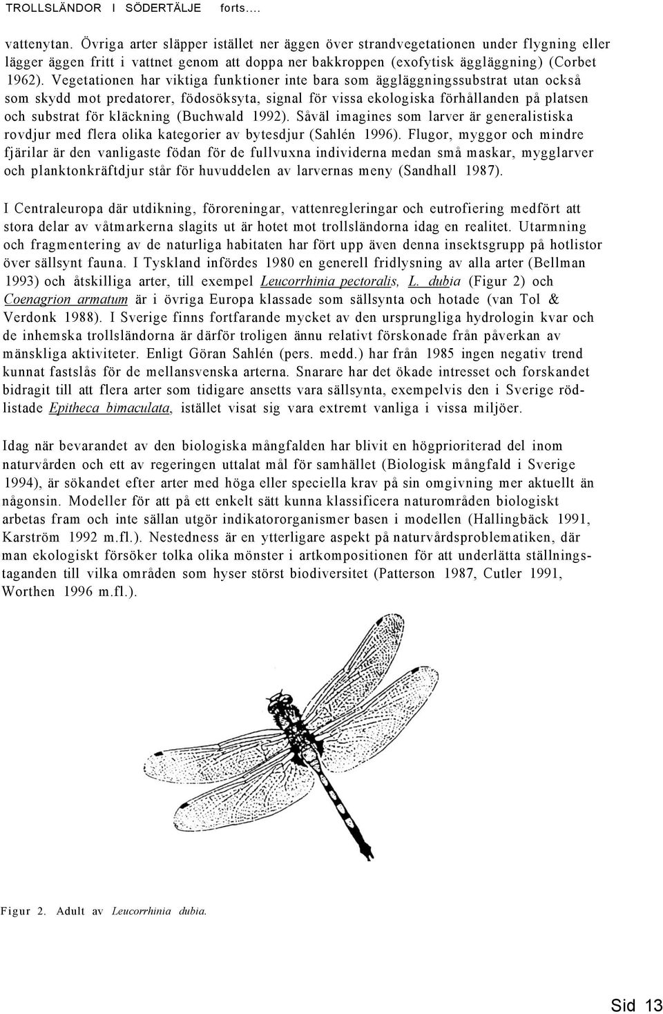 (Buchwald 1992). Såväl imagines som larver är generalistiska rovdjur med flera olika kategorier av bytesdjur (Sahlén 1996).