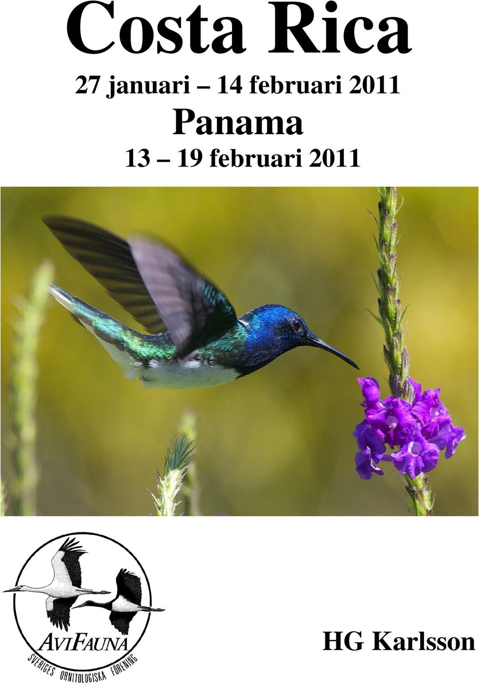 2011 Panama 13 19