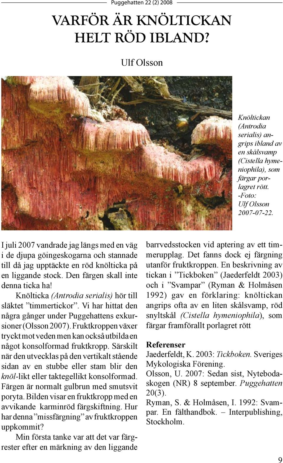 Knölticka (Antrodia serialis) hör till släktet timmertickor. Vi har hittat den några gånger under Puggehattens exkursioner (Olsson 2007).