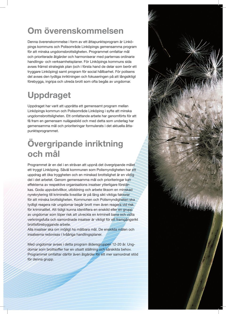 För Linköpings kommuns sida avses främst strategisk plan (och i första hand de delar som berör ett tryggare Linköping) samt program för social hållbarhet.