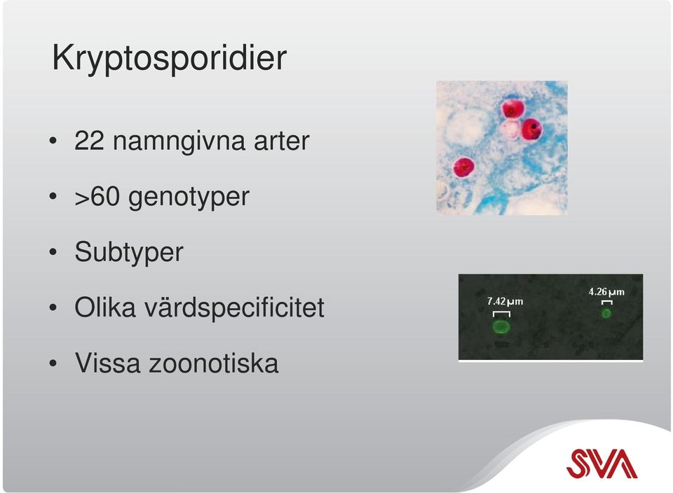 genotyper Subtyper Olika