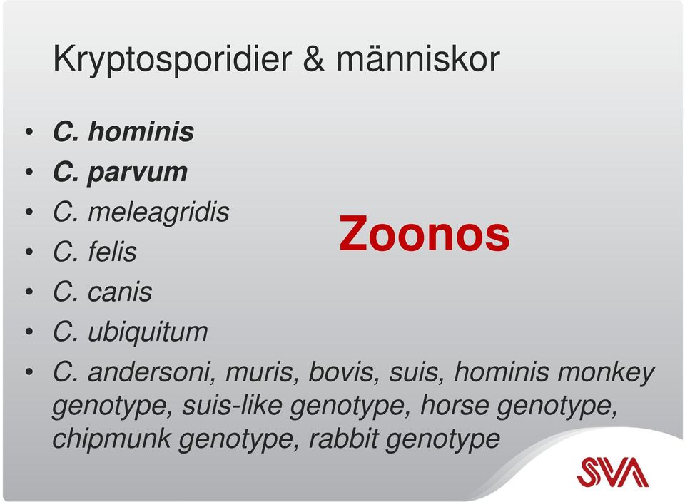 andersoni, muris, bovis, suis, hominis monkey genotype,