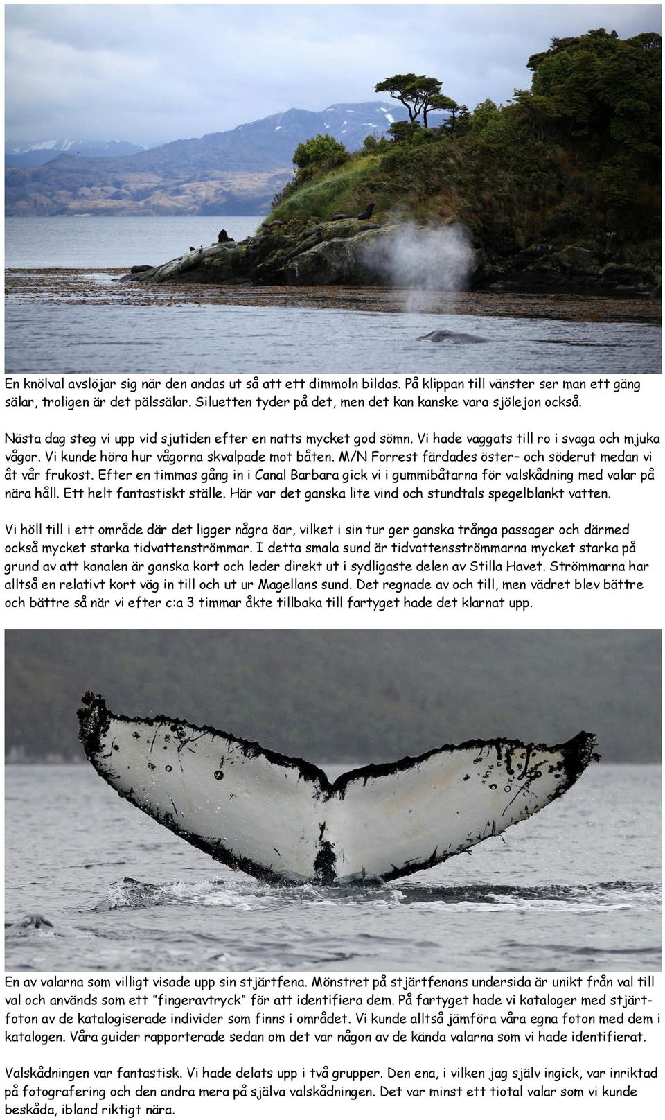 Vi kunde höra hur vågorna skvalpade mot båten. M/N Forrest färdades öster och söderut medan vi åt vår frukost.
