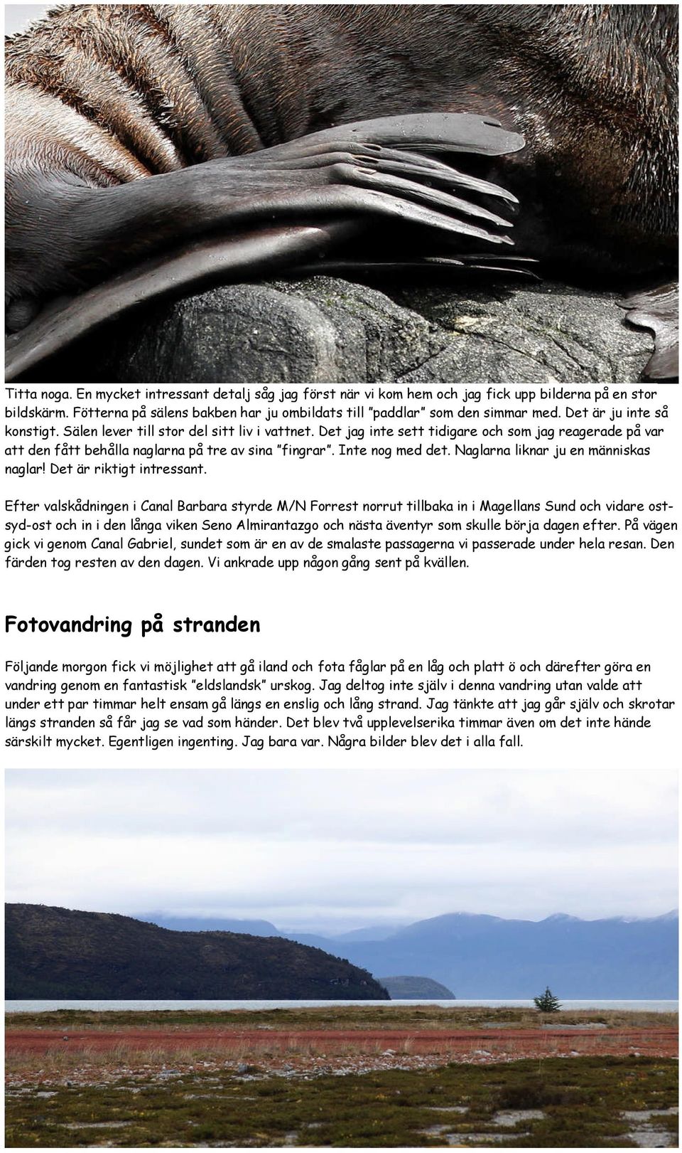 Inte nog med det. Naglarna liknar ju en människas naglar! Det är riktigt intressant.