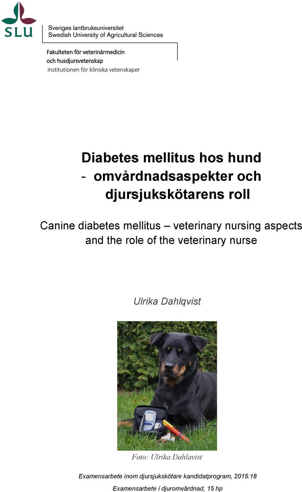 mellitus veterinary nursing aspects and the role of the veterinary nurse Ulrika Dahlqvist Foto: