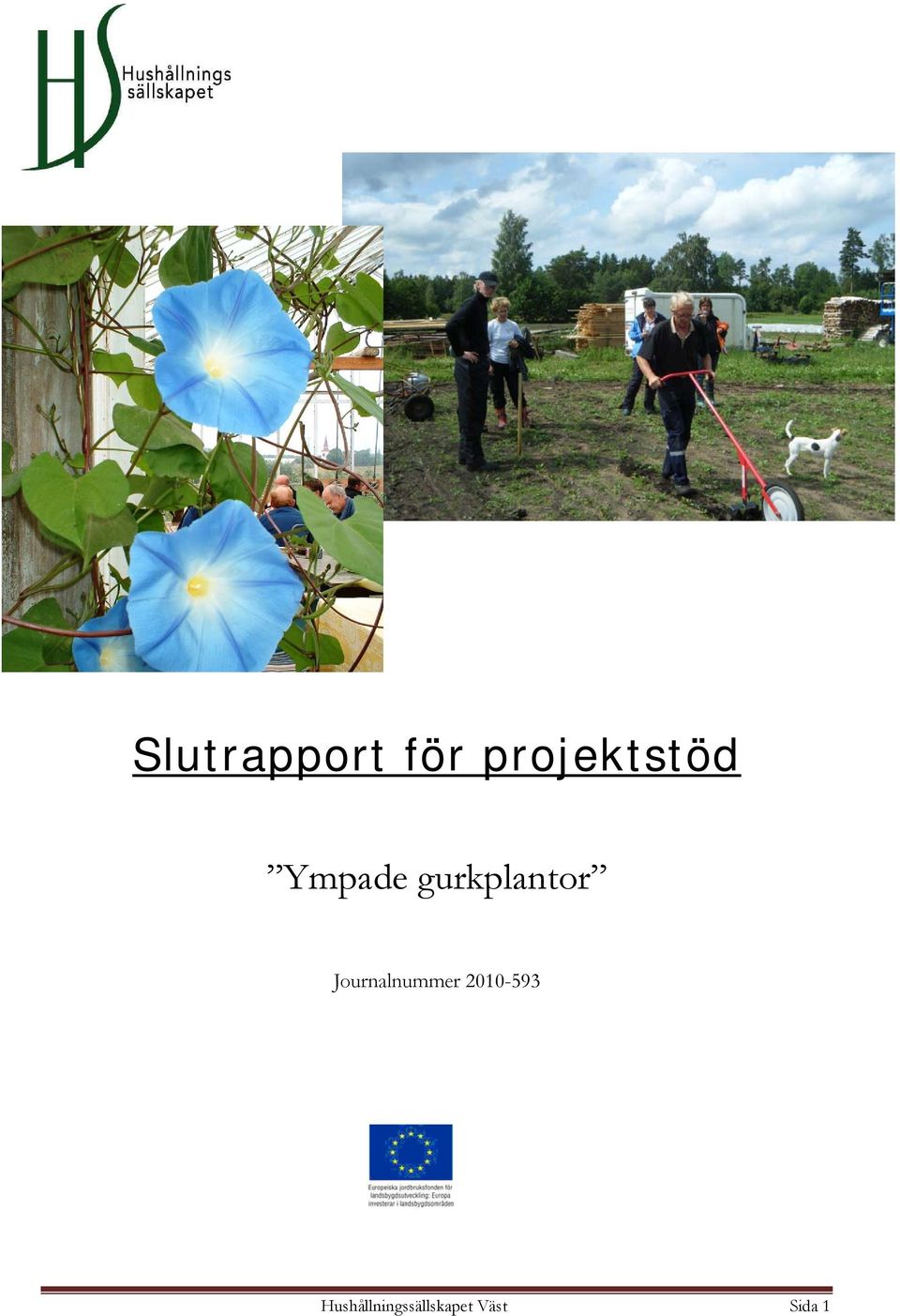 gurkplantor Journalnummer