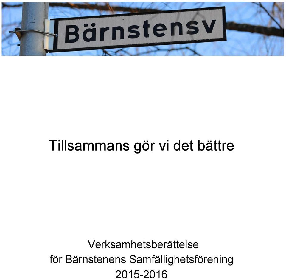 Verksamhetsberättelse