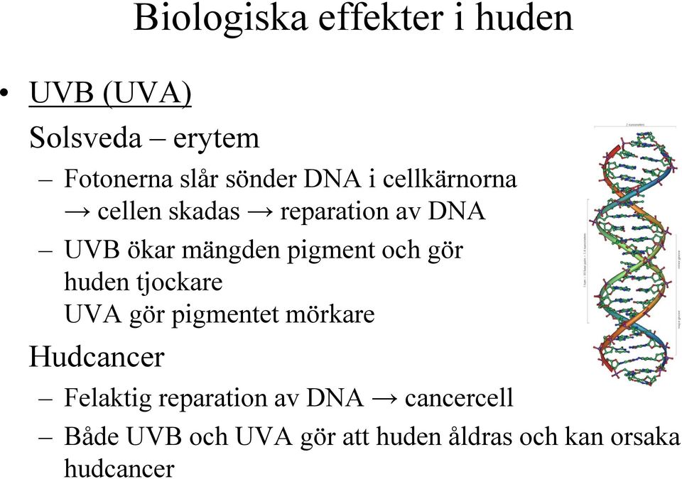 och gör huden tjockare UVA gör pigmentet mörkare Hudcancer Felaktig