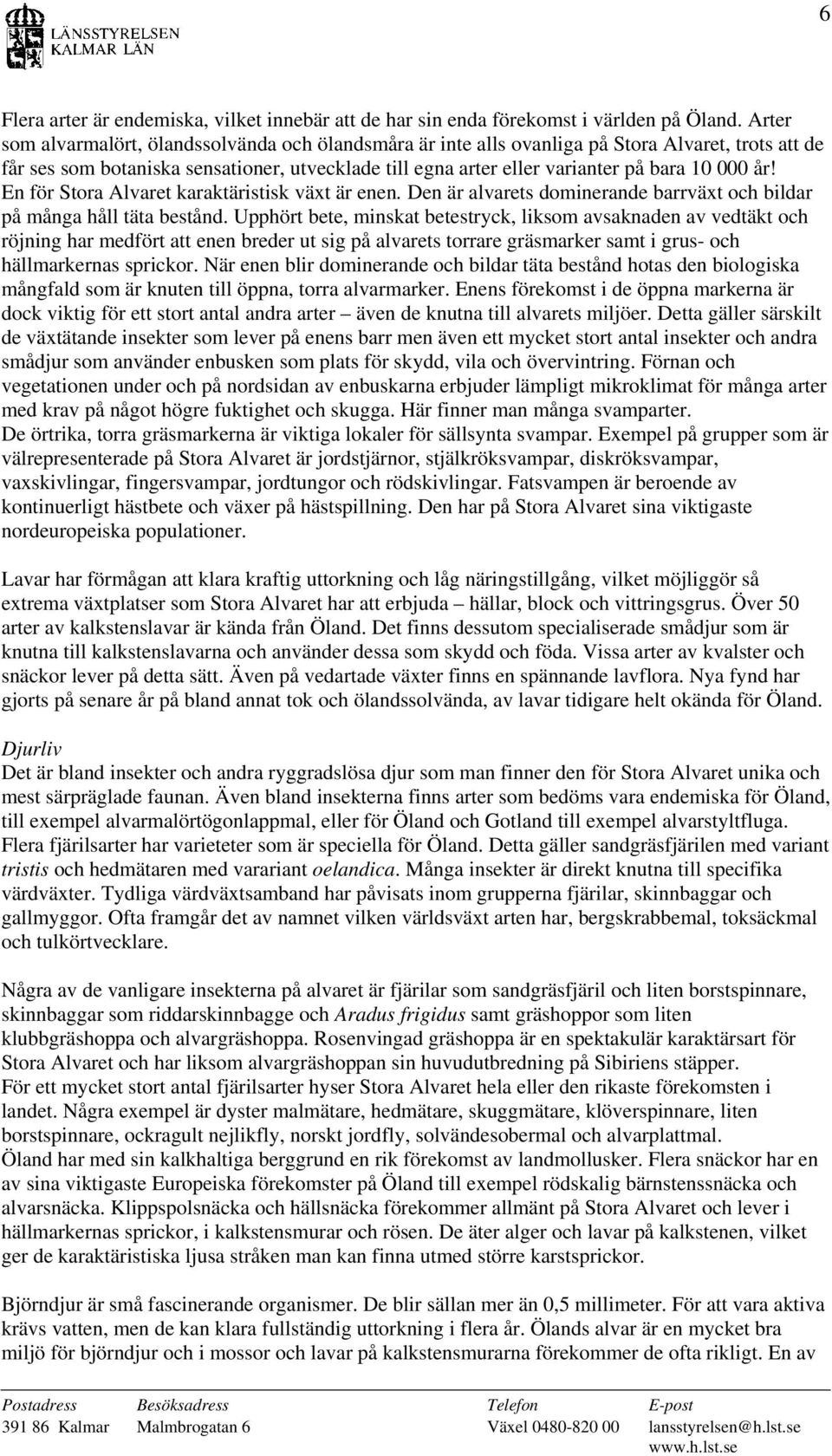 år! En för Stora Alvaret karaktäristisk växt är enen. Den är alvarets dominerande barrväxt och bildar på många håll täta bestånd.