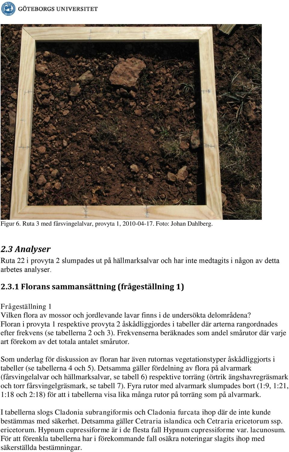 Floran i provyta 1 respektive provyta 2 åskådliggjordes i tabeller där arterna rangordnades efter frekvens (se tabellerna 2 och 3).