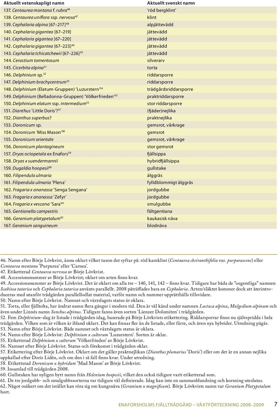 Cerastium tomentosum silverarv 145. Cicerbita alpina 51 torta 146. Delphinium sp. 52 riddarsporre 147. Delphinium brachycentrum 53 riddarsporre 148.