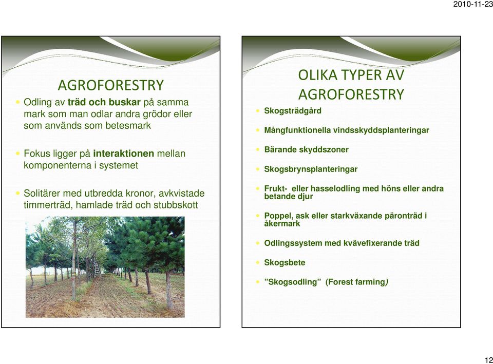AGROFORESTRY Mångfunktionella vindsskyddsplanteringar Bärande skyddszoner Skogsbrynsplanteringar Frukt- eller hasselodling med höns eller andra