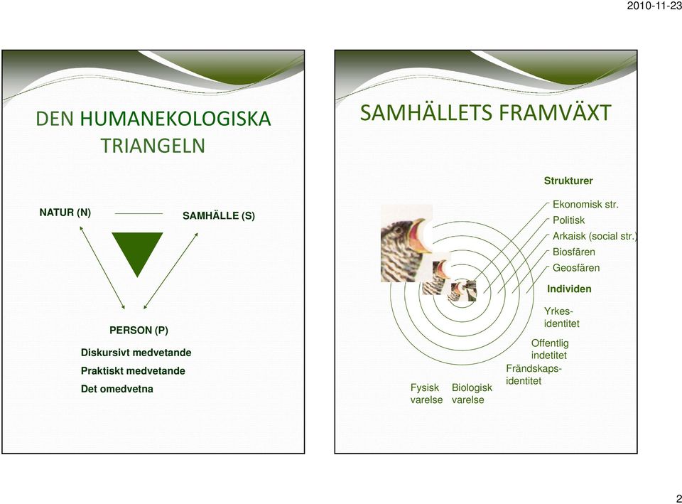 ) Biosfären Geosfären Individen PERSON (P) Diskursivt medvetande Praktiskt