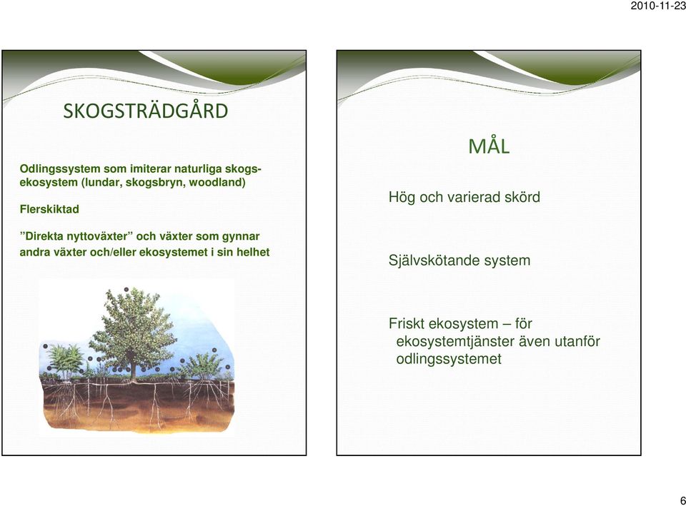 andra växter och/eller ekosystemet i sin helhet MÅL Hög och varierad skörd