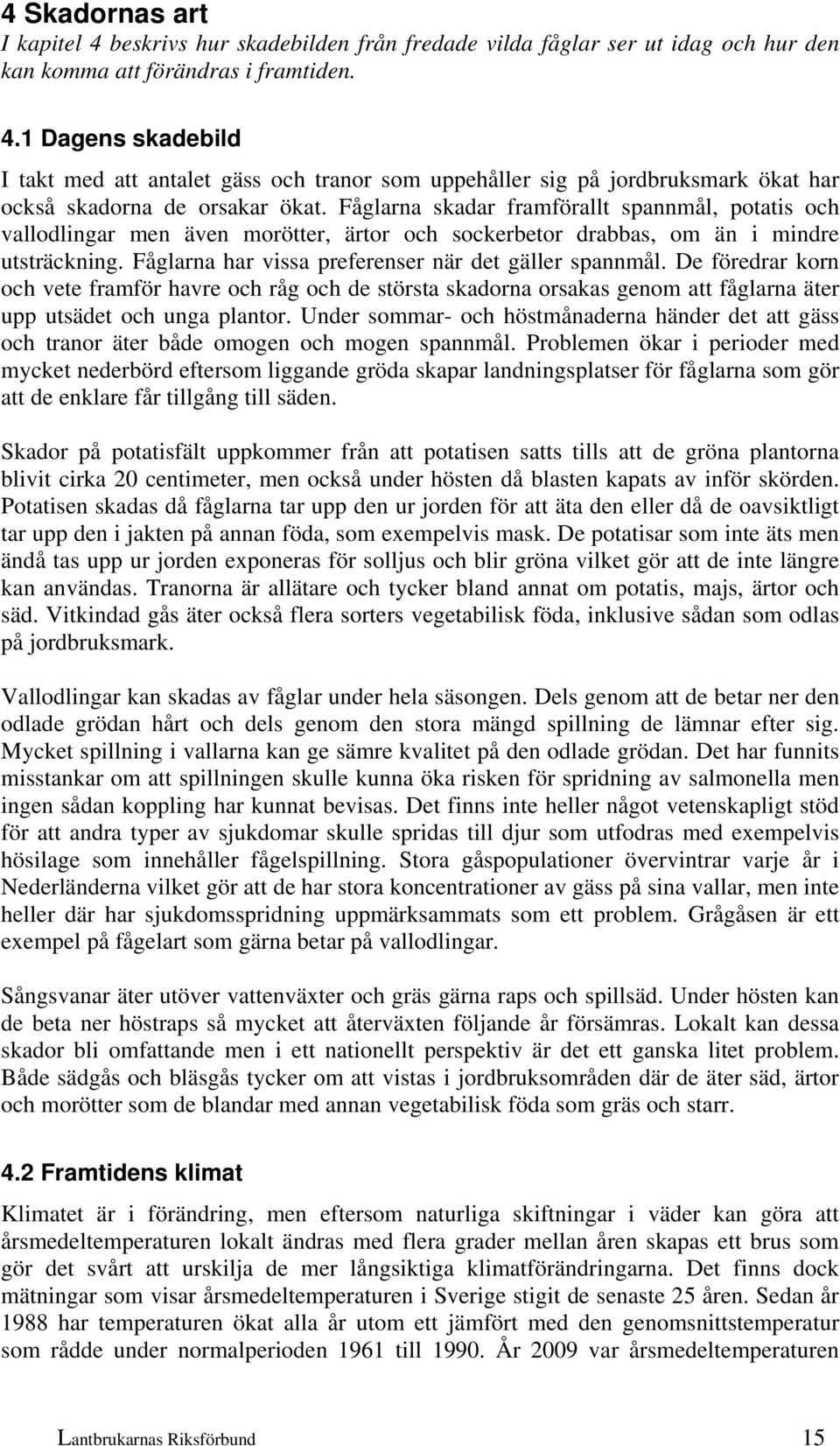 De föredrar korn och vete framför havre och råg och de största skadorna orsakas genom att fåglarna äter upp utsädet och unga plantor.