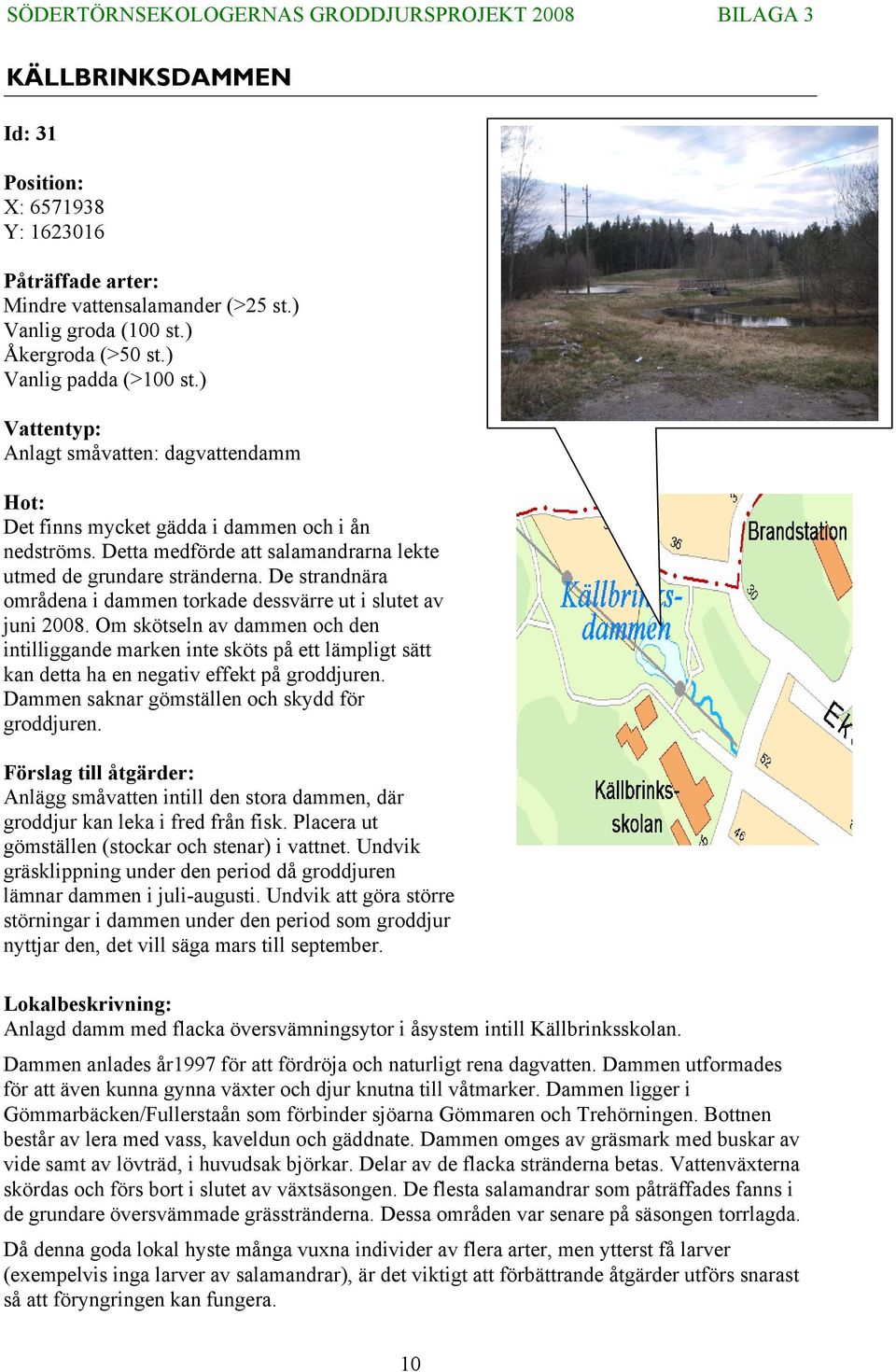 De strandnära områdena i dammen torkade dessvärre ut i slutet av juni 2008.