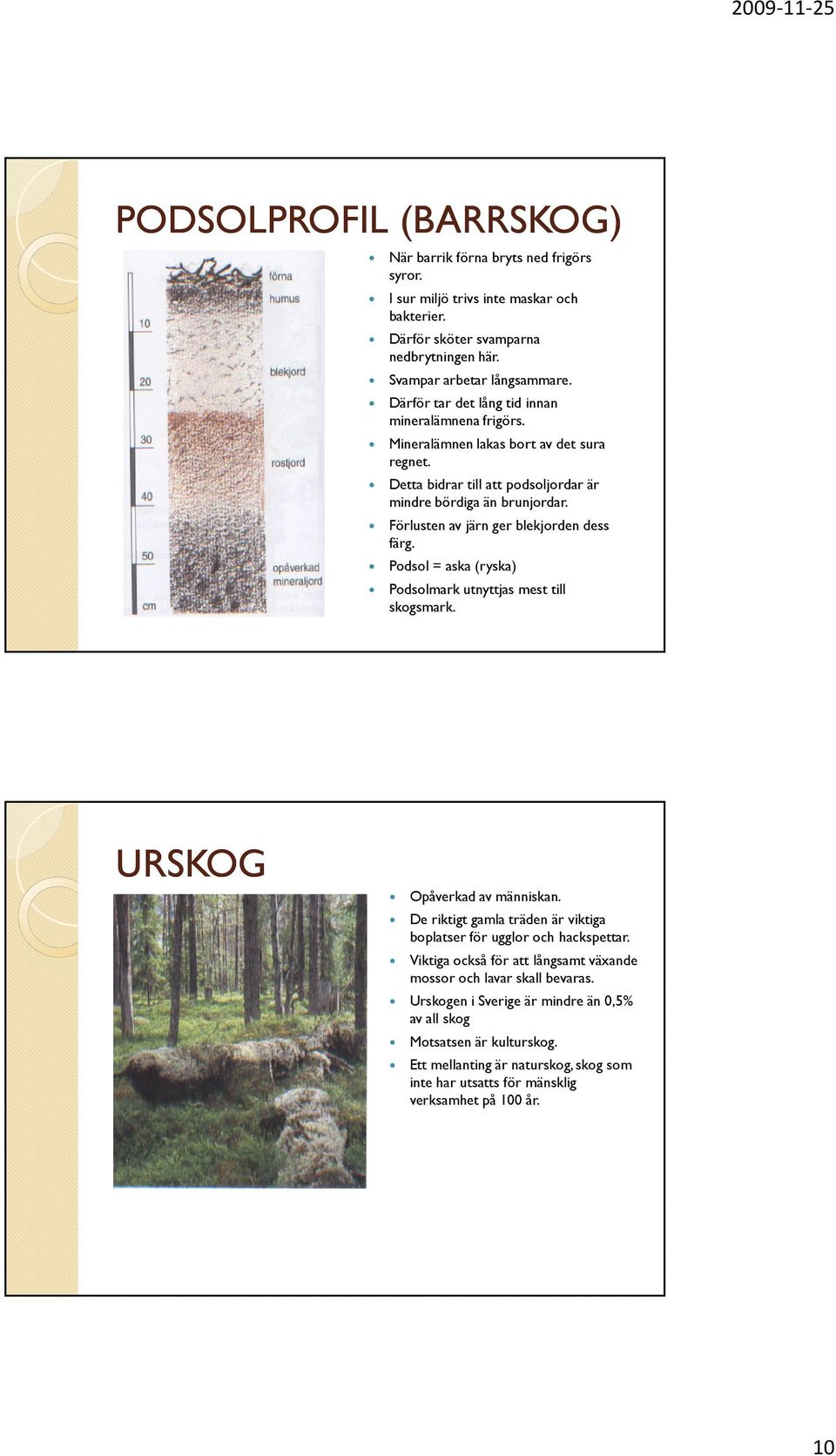 Förlusten av järn ger blekjorden dess färg. Podsol = aska (ryska) Podsolmark utnyttjas mest till skogsmark. URSKOG Opåverkad av människan.