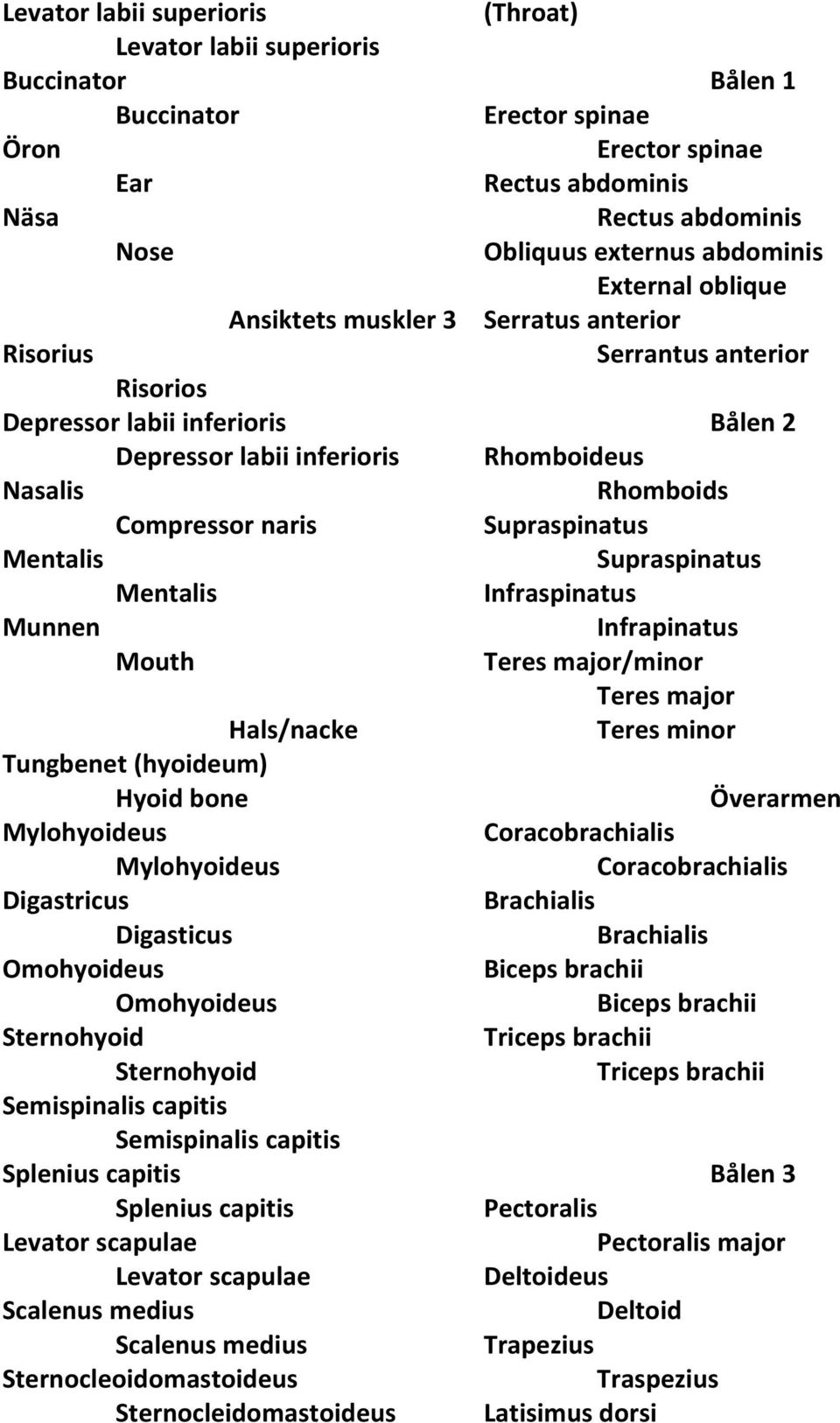 Mouth Hals/nacke Tungbenet (hyoideum) Hyoid bone Mylohyoideus Mylohyoideus Digastricus Digasticus Omohyoideus Omohyoideus Sternohyoid Sternohyoid Semispinalis capitis Semispinalis capitis Splenius