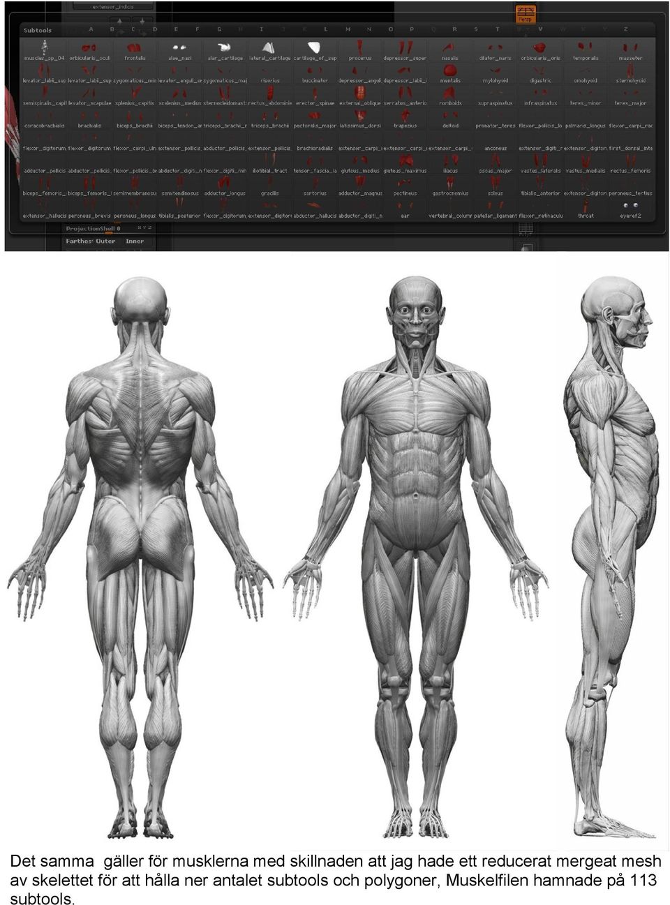 skelettet för att hålla ner antalet subtools