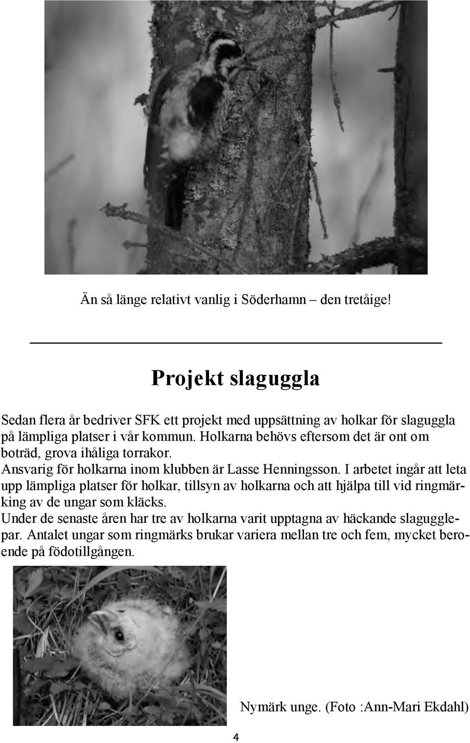 Holkarna behövs eftersom det är ont om boträd, grova ihåliga torrakor. Ansvarig för holkarna inom klubben är Lasse Henningsson.