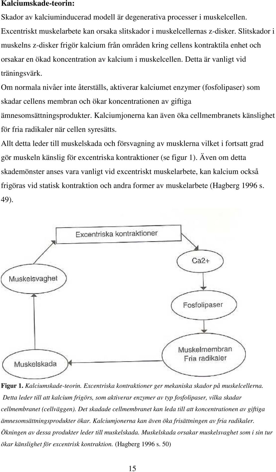 Om normala nivåer inte återställs, aktiverar kalciumet enzymer (fosfolipaser) som skadar cellens membran och ökar koncentrationen av giftiga ämnesomsättningsprodukter.