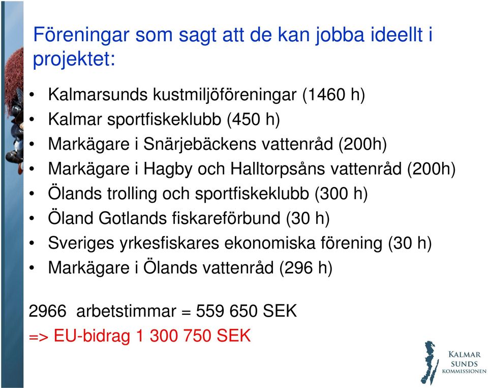 (200h) Ölands trolling och sportfiskeklubb (300 h) Öland Gotlands fiskareförbund (30 h) Sveriges yrkesfiskares