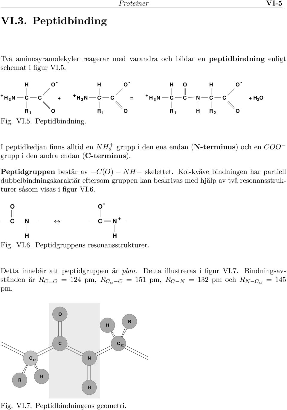 Kol-kväve bindningen har partiell dubbelbindningskaraktär eftersom gruppen kan beskrivas med hjälp av två resonansstrukturer såsom visas i figur VI.6. - N N + Fig. VI.6. Peptidgruppens resonansstrukturer.