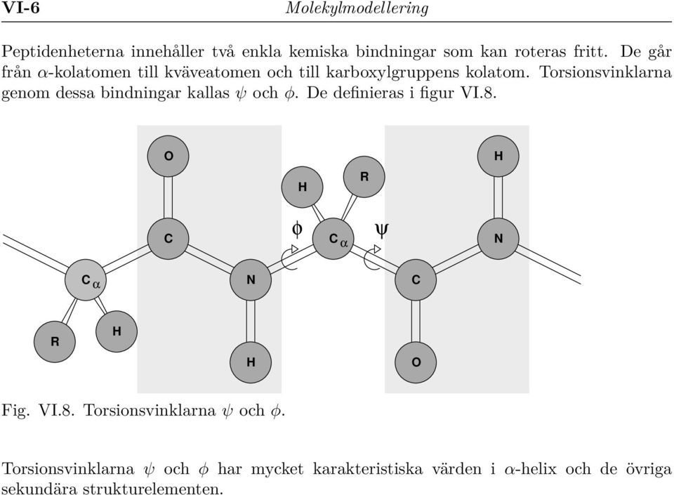 Torsionsvinklarna genom dessa bindningar kallas ψ och φ. De definieras i figur VI.8.