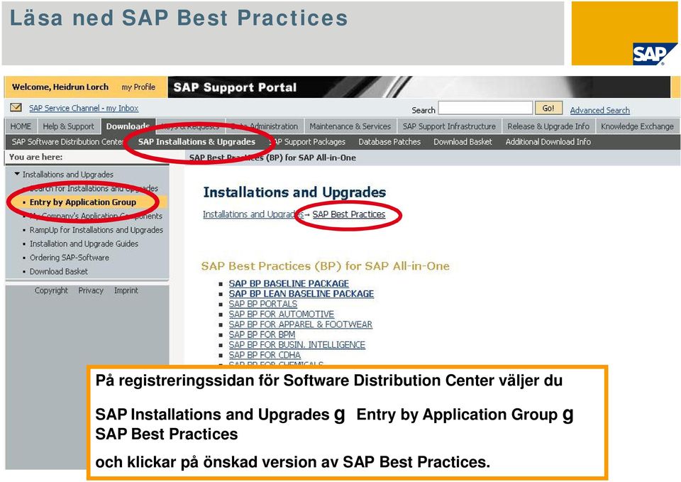Entry by Application Group g SAP Best Practices