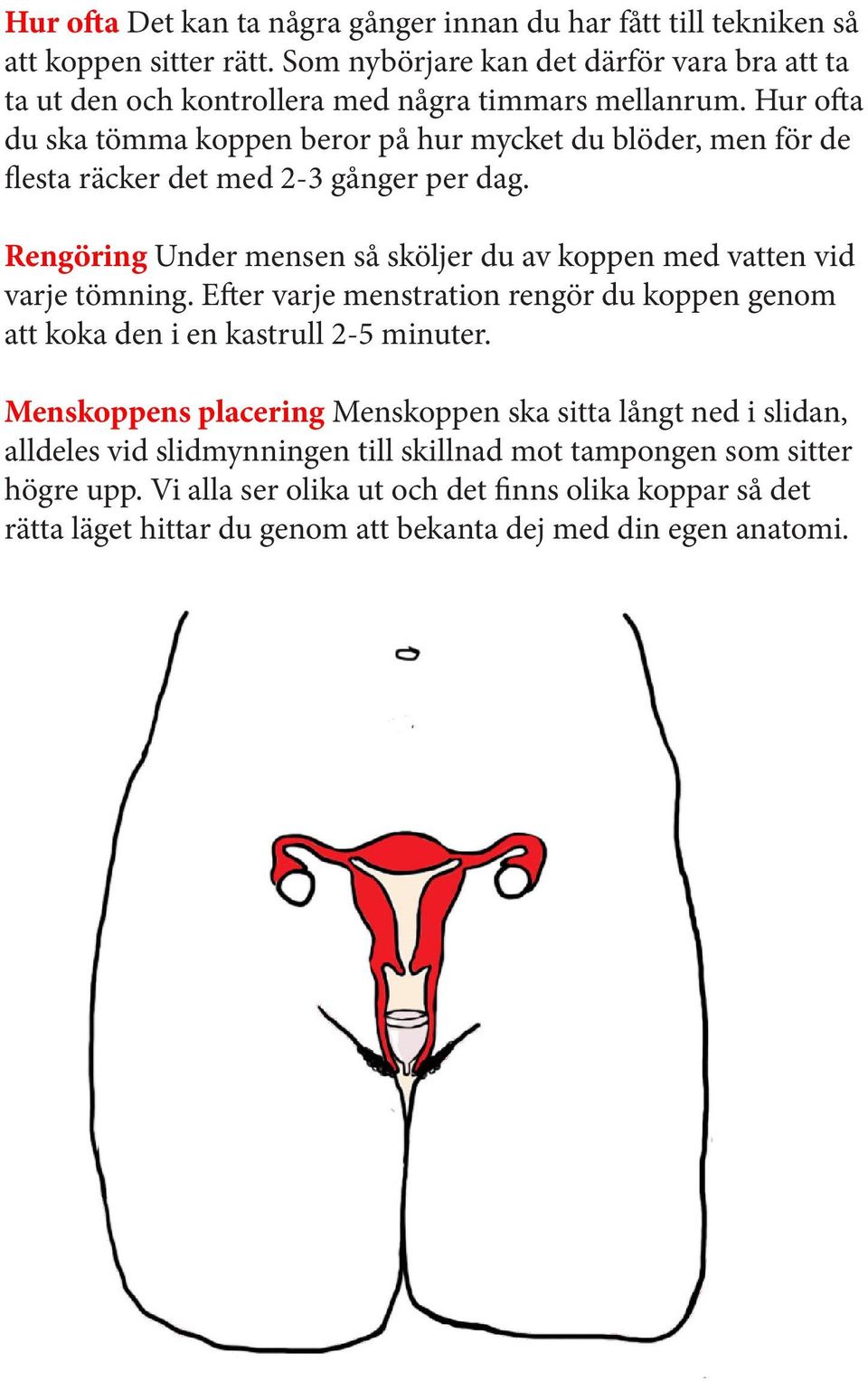 Hur ofta du ska tömma koppen beror på hur mycket du blöder, men för de flesta räcker det med 2-3 gånger per dag.