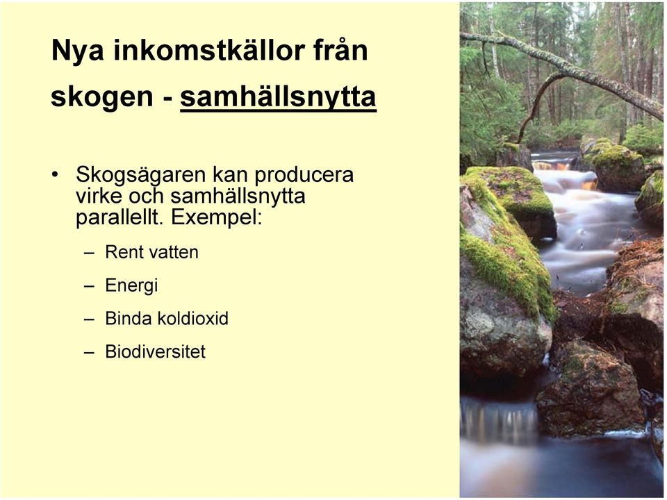 virke och samhällsnytta parallellt.