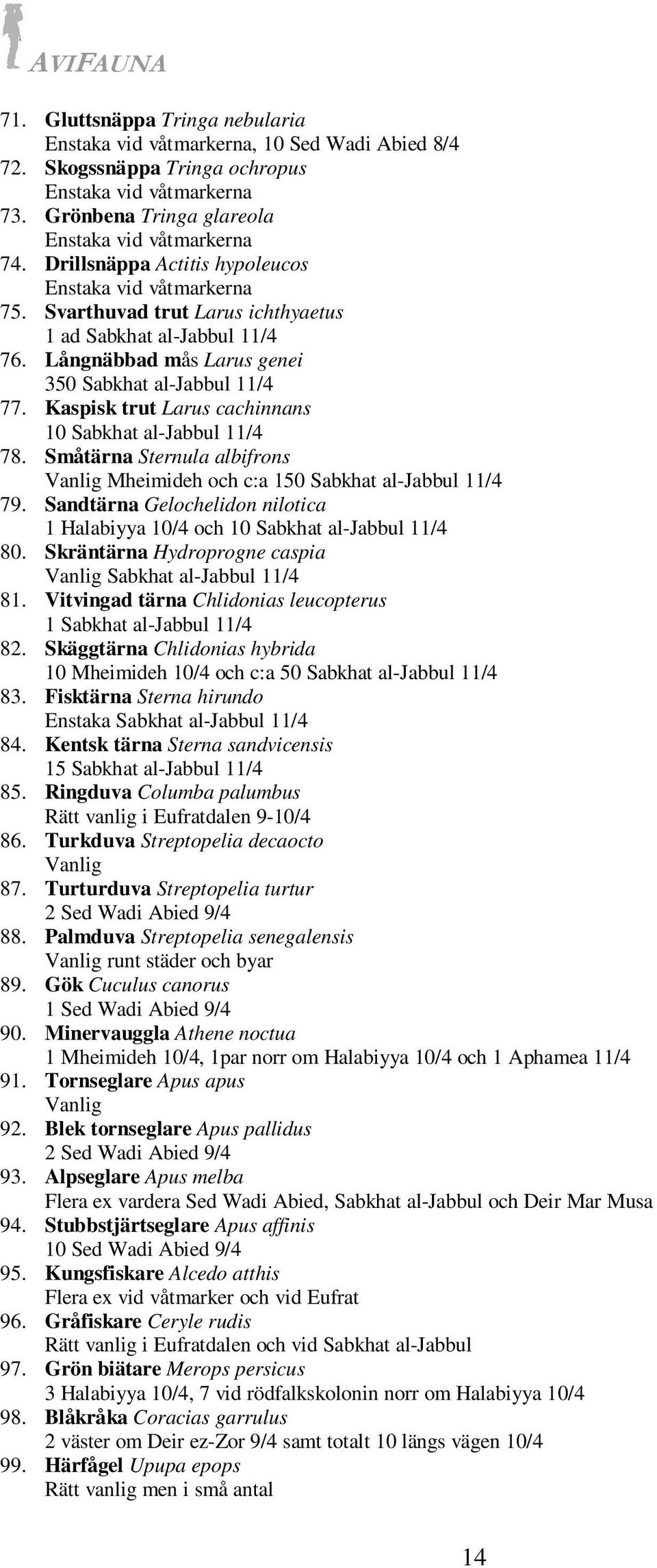 Kaspisk trut Larus cachinnans 10 Sabkhat al-jabbul 11/4 78. Småtärna Sternula albifrons Mheimideh och c:a 150 Sabkhat al-jabbul 11/4 79.