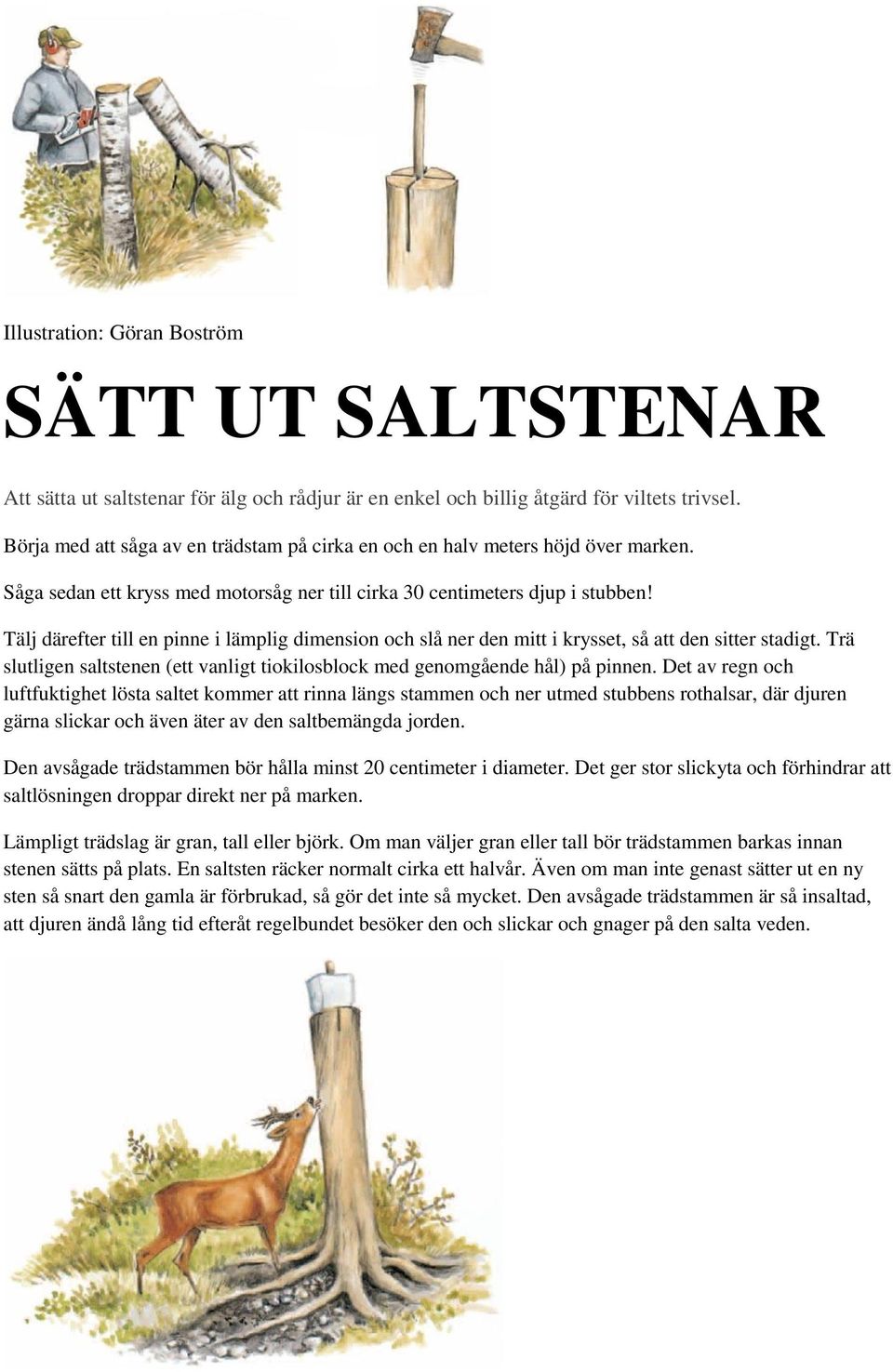 Trä slutligen saltstenen (ett vanligt tiokilosblock med genomgående hål) på pinnen.