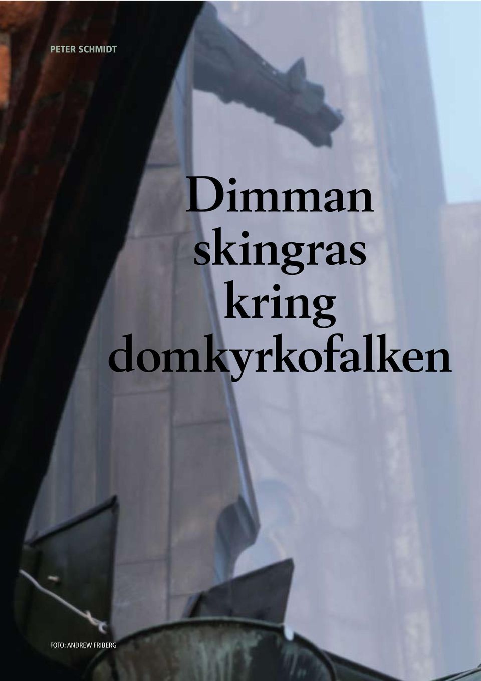 domkyrkofalken FOTO: