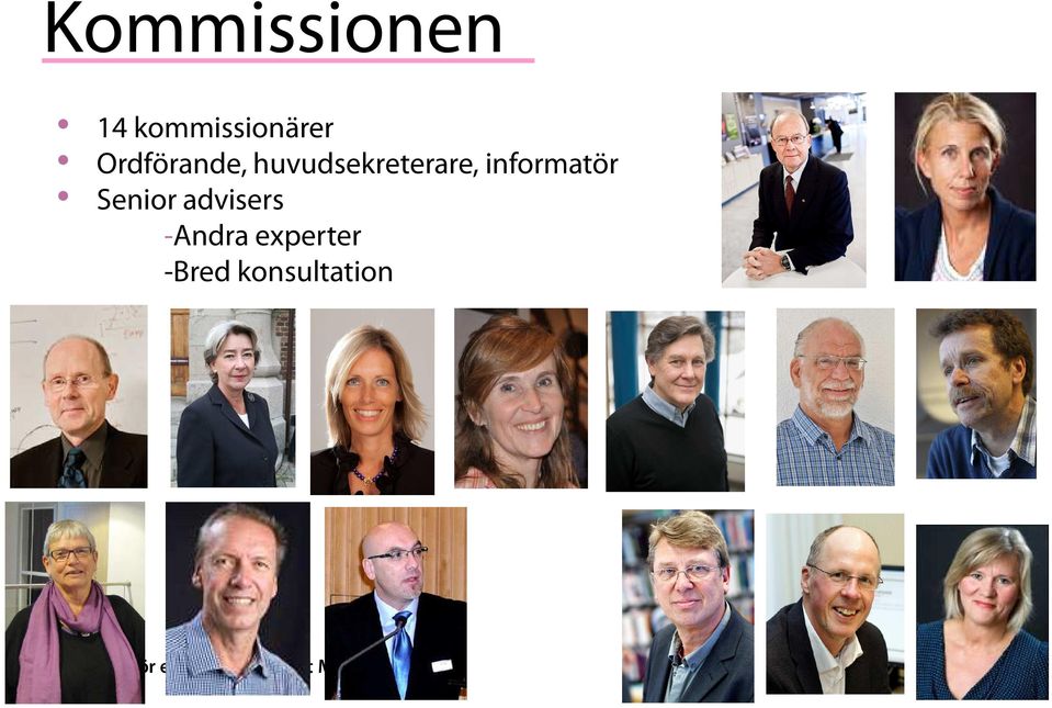 informatör Senior advisers